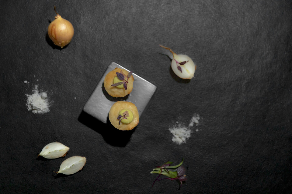 RED 31 2